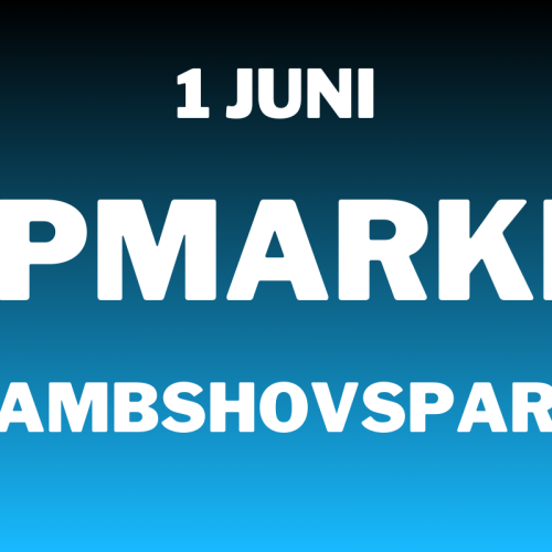 Loppis på Rålambshovsparken den 1 juni 2025