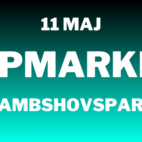 Loppis på Rålambshovsparken den 11 maj 2025