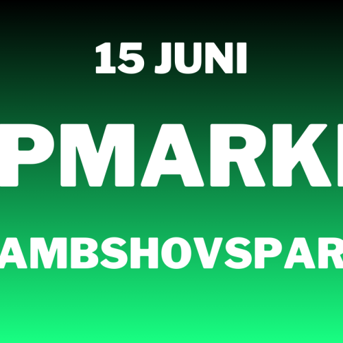 Loppis på Rålambshovsparken den 15 juni 2025