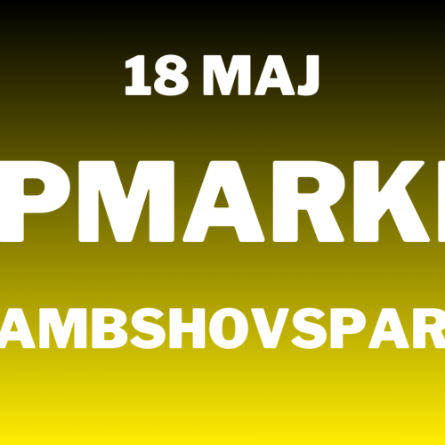 Loppis på Rålambshovsparken den 18 maj 2025