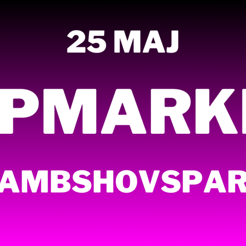 Loppis på Rålambshovsparken den 25 maj 2025