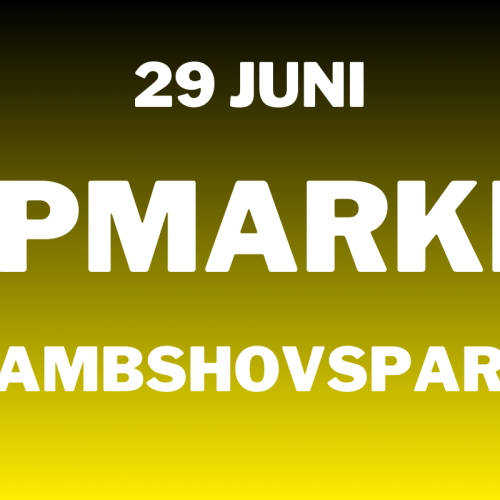 Loppis på Rålambshovsparken den 29 juni 2025