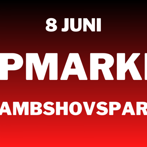 Loppis på Rålambshovsparken den 8 juni 2025